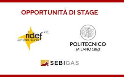 Opportunità di stage per gli studenti del Master RIDEF del Politecnico di Milano