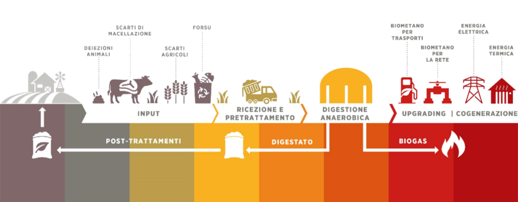 energia da biogas Produzione di biogas