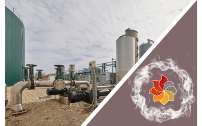 ENERGIA DA BIOGAS