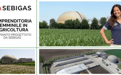 DONNE E SOSTENIBILITÀ: L’IMPRENDITORIA FEMMINILE IN AGRICOLTURA