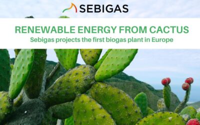 Sebigas lands in Puglia with a new biogas plant for Wakonda, the first one in Europe fed with cactus