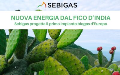 Sebigas sbarca in Puglia con un nuovo impianto biogas per Wakonda, il primo in Europa alimentato con la pianta del fico d’india