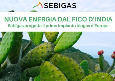 Sebigas sbarca in Puglia con un nuovo impianto biogas per Wakonda, il primo in Europa alimentato con la pianta del fico d&rsquo;india