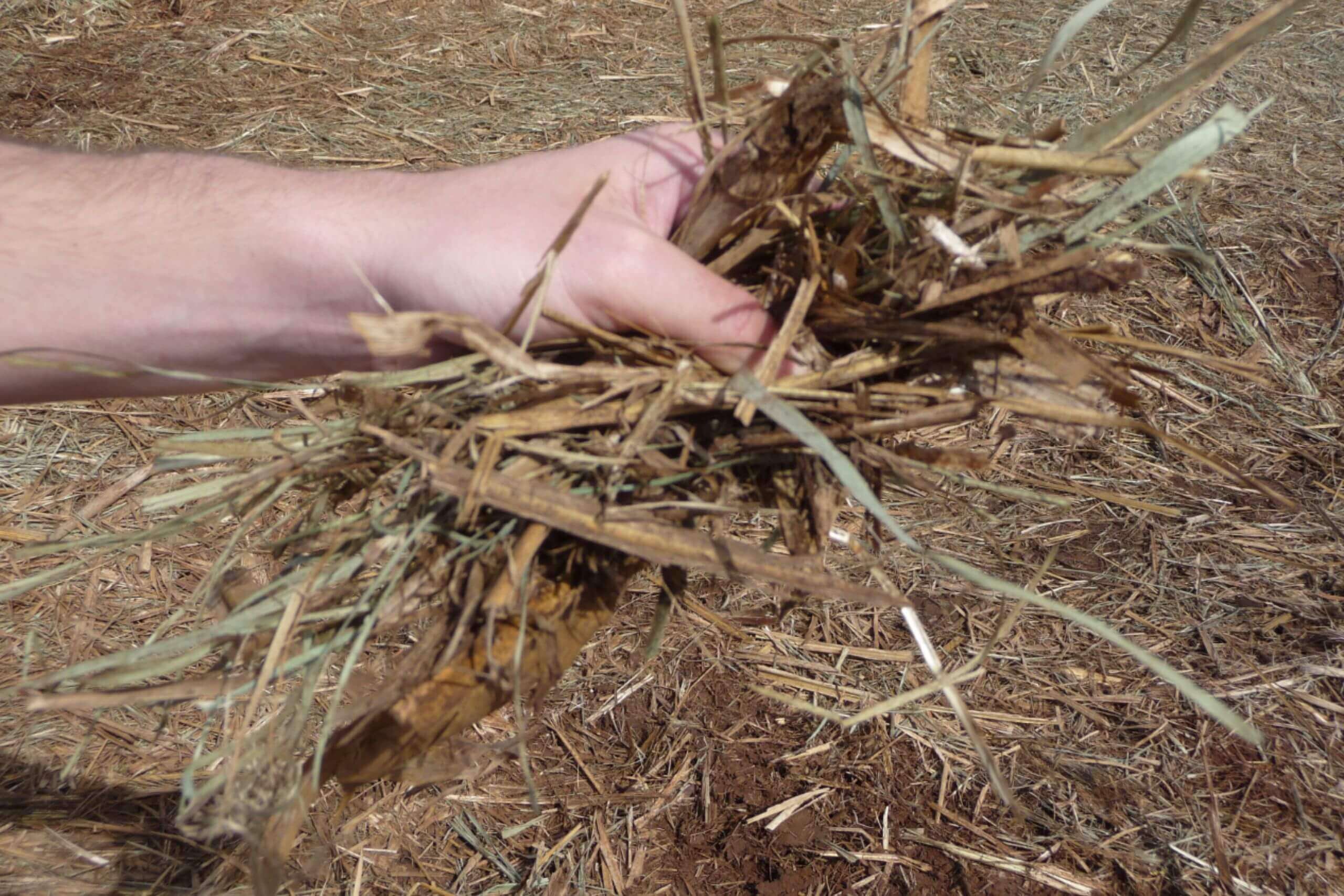 plug flow biomass