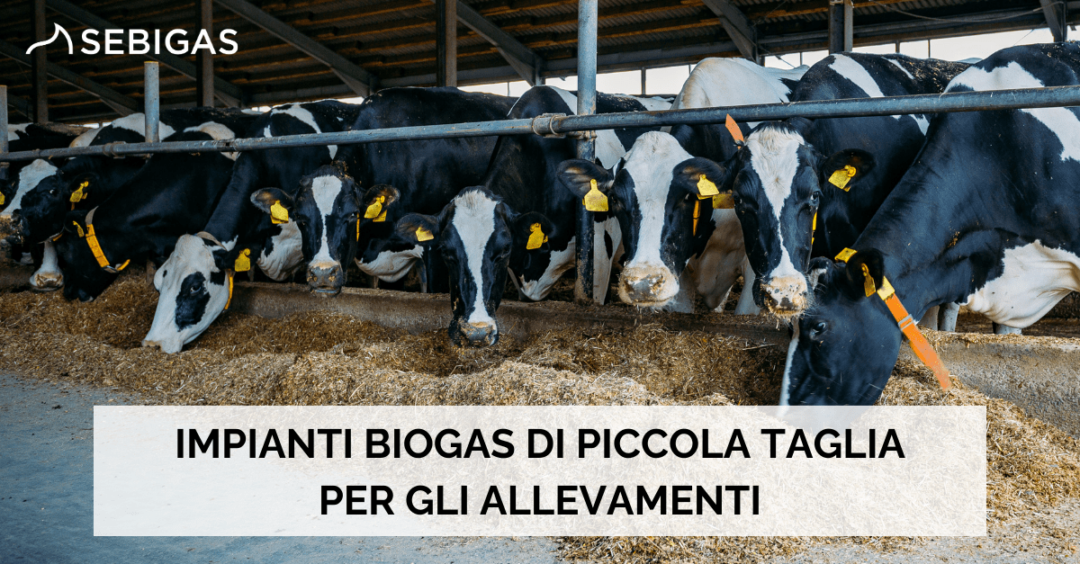 IMPIANTI BIOGAS DI PICCOLA TAGLIA PER GLI ALLEVAMENTI