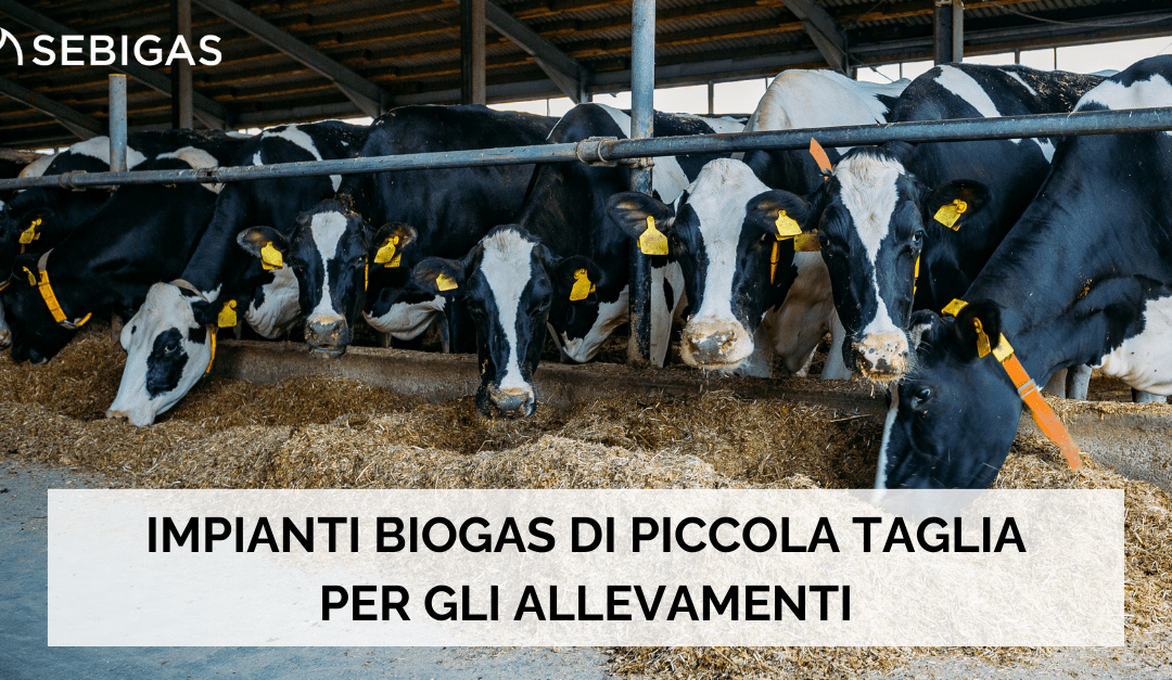 IMPIANTI BIOGAS DI PICCOLA TAGLIA PER GLI ALLEVAMENTI