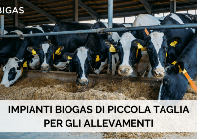 IMPIANTI BIOGAS DI PICCOLA TAGLIA PER GLI ALLEVAMENTI