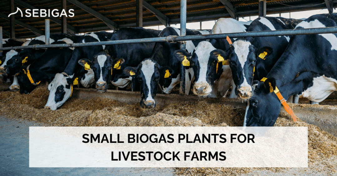 small biogas plants for livestock farms