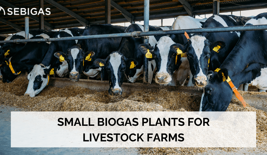 small biogas plants for livestock farms