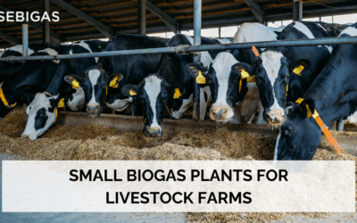 small biogas plants for livestock farms