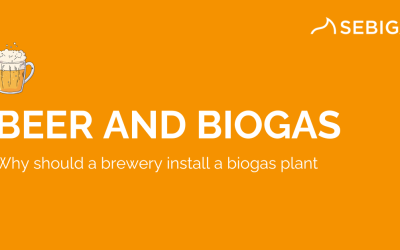 Beer and biogas: the advantages for a brewery