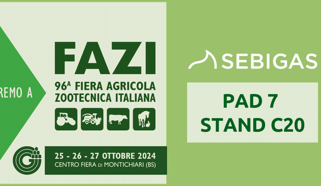 SEBIGAS ESPOSITORE ALLA FAZI