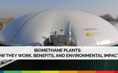 BIOMETHANE PLANTS: HOW THEY WORK, BENEFITS, AND ENVIRONMENTAL IMPACTS